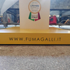Stylish And Functional Lamp Display Base for Retail Stores And Showrooms